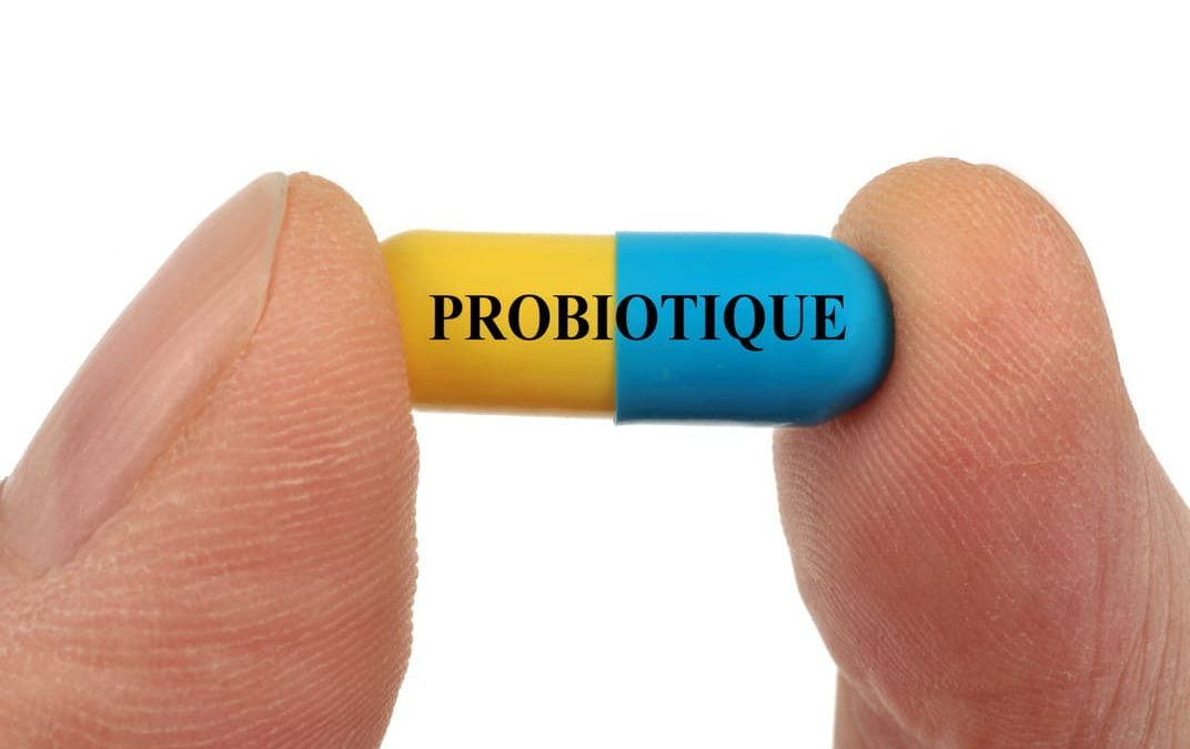Probiotiques : L’essentiel à Retenir en Quelques Mots